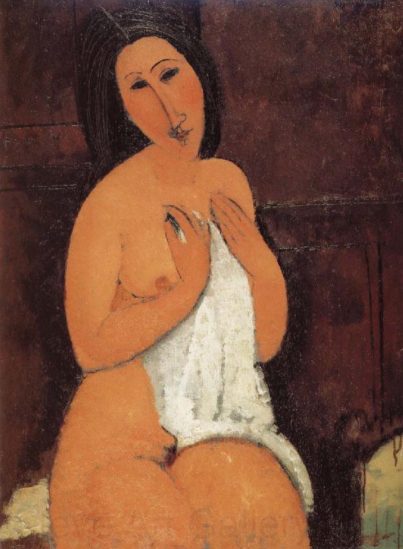 Amedeo Modigliani Seated Nude France oil painting art